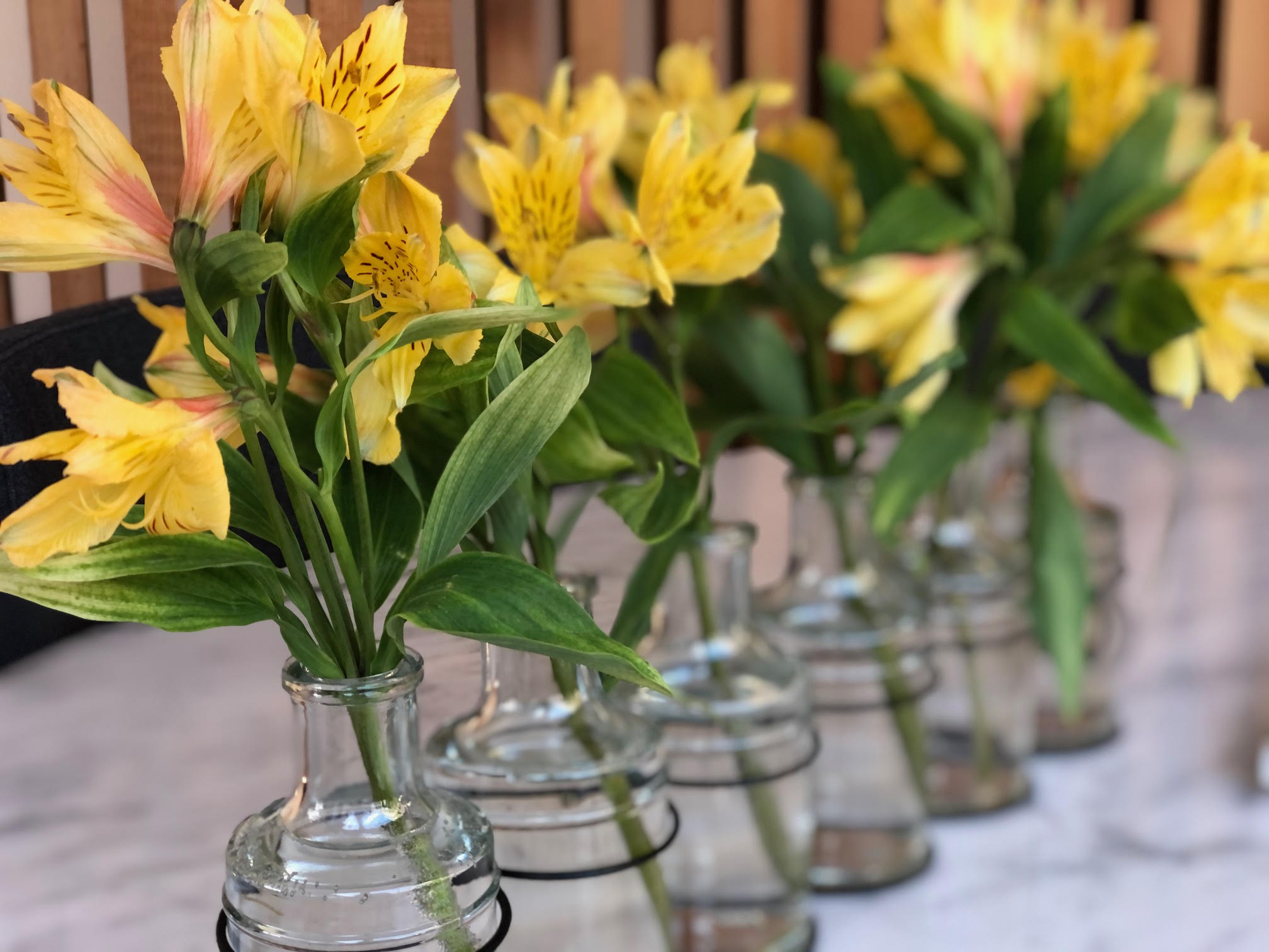 Pandemic Revelations: What My House Revealed to Me During Quarantine